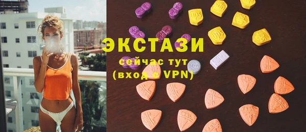ECSTASY Бородино