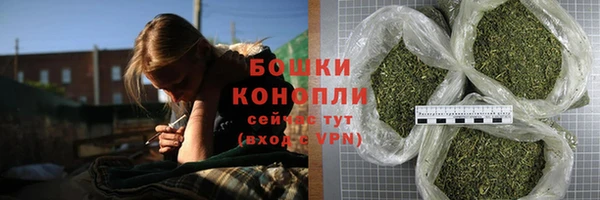 дмт Богородск