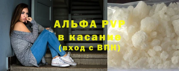 эйфоретик Богданович