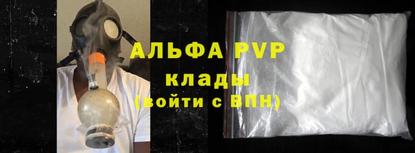 эйфоретик Богданович