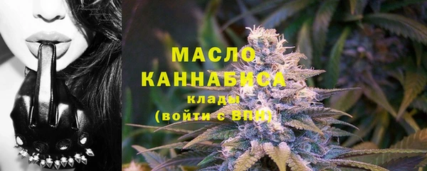дмт Богородск