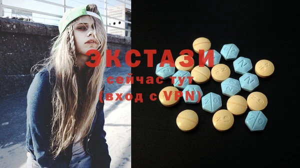 ECSTASY Бородино