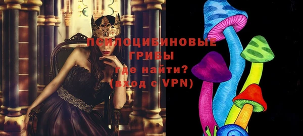 эйфоретик Богданович